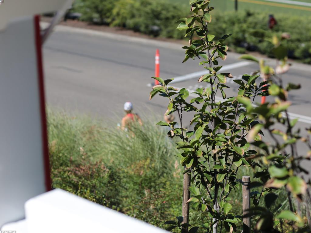 សេវាកម្មទីផ្សារឌីជីថល: ការបង្កើនអាជីវកម្មក្នុងសេវាកម្មយូអេសអេ