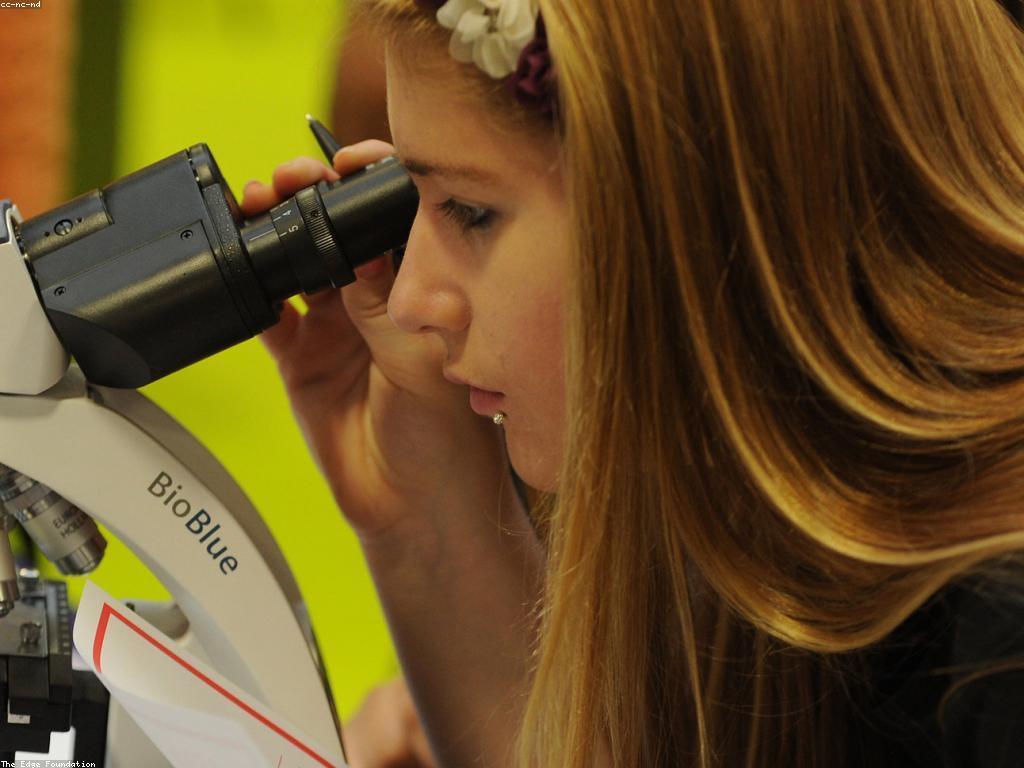 យុទ្ធសាស្ត្រលេង: ការលេងឲ្យមានប្រសិទ្ធភាព